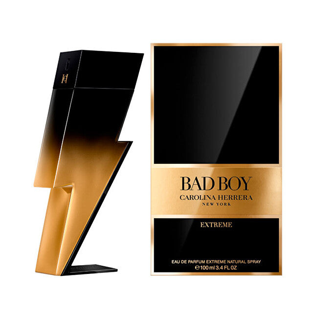 Bad Boy Extreme - EDP - Volume: 100 ml