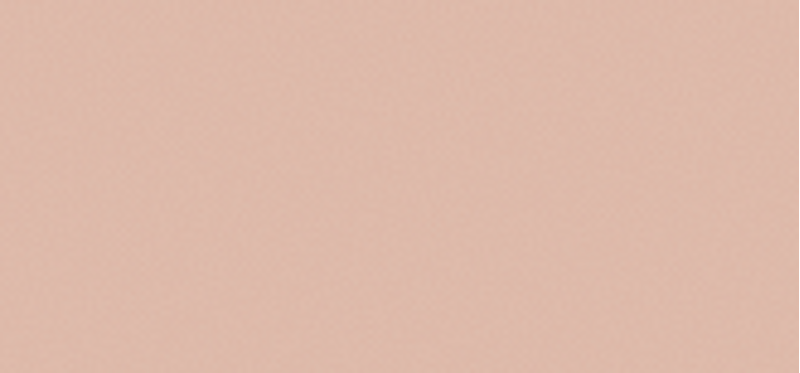 Long-Lasting Powder and Foundation 2in1 (24H Long-Lasting Powder and Foundation) 9 g - Shade: 2