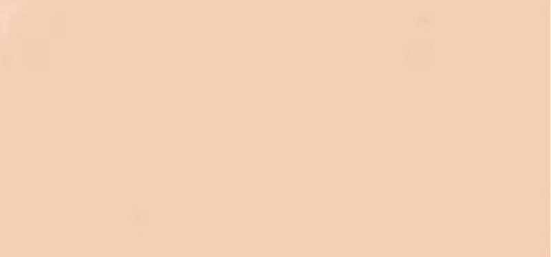 Long-lasting makeup Forever Skin Wear Foundation 30 ml - Shade: 1N