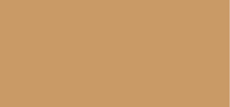 Matting liquid make-up Prisme Libre Skin- Caring Matte (Foundation) 30 ml - Shade: 4-W310