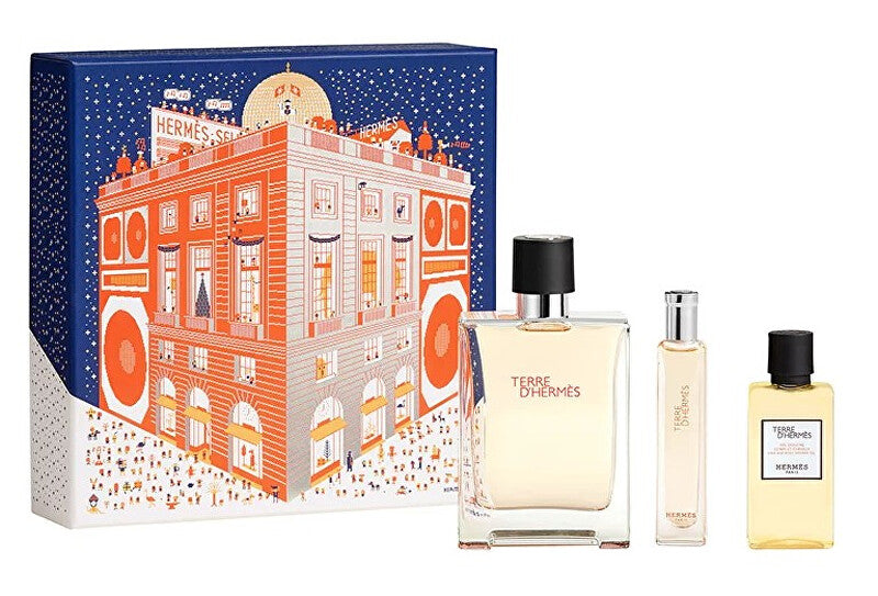 Terre D' Hermes - EDT 100 ml + shower gel 40 ml + EDT 15 ml