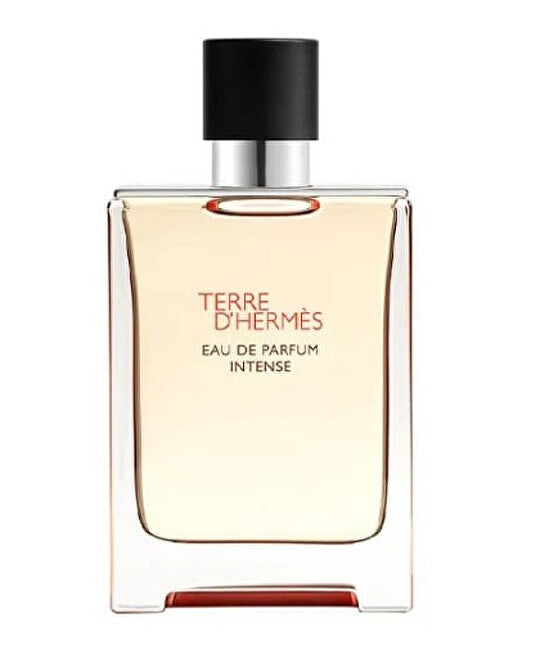 Terre D`Hermès Intense - EDP (plnitelná) - Volume: 100 ml
