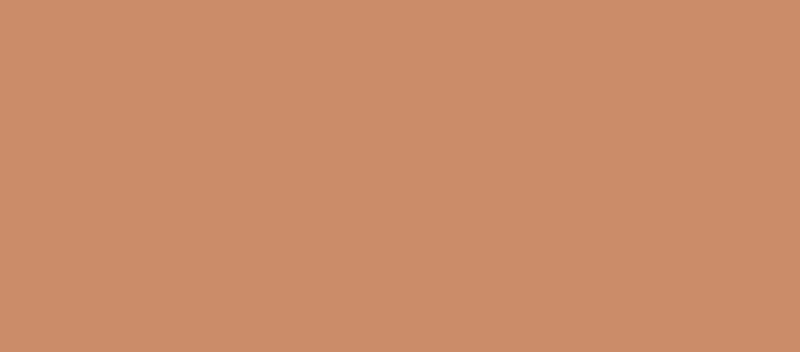 Bronzing compact powder (True Bronze Pressed Powder Bronzer) 9.6 g - Shade: 03 Sunblushed