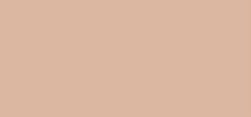 Compact Powder True Match (The Powder) 9 g - Shade: 4.N Neutral