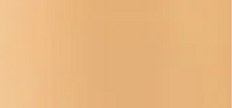 Liquid make-up (Real Flawless Foundation) 30 ml - Shade: 4N1 Ginger
