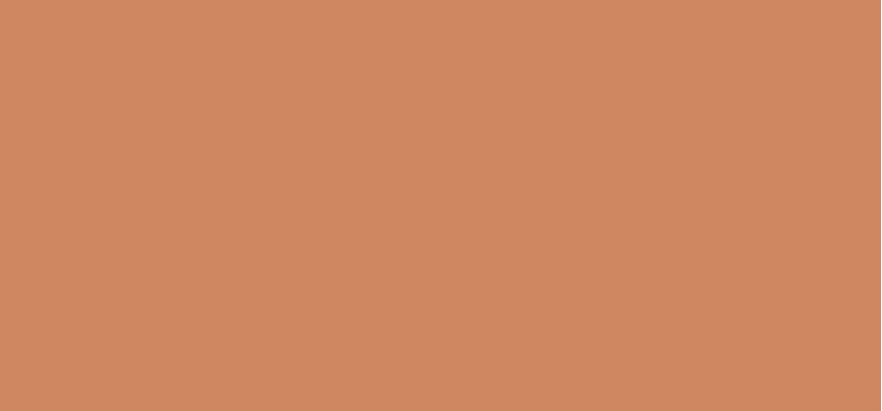 Cream concealer and makeup in one Studio Fix (Every-Wear All-Over Face Pen) 12 ml - Shade: NC44