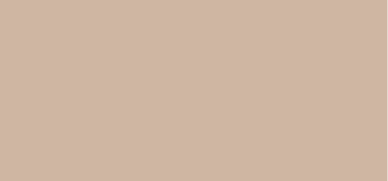 Miracle Touch (Skin Perfecting Foundation) 11.5 g - Shade: 55 Blushing Beige