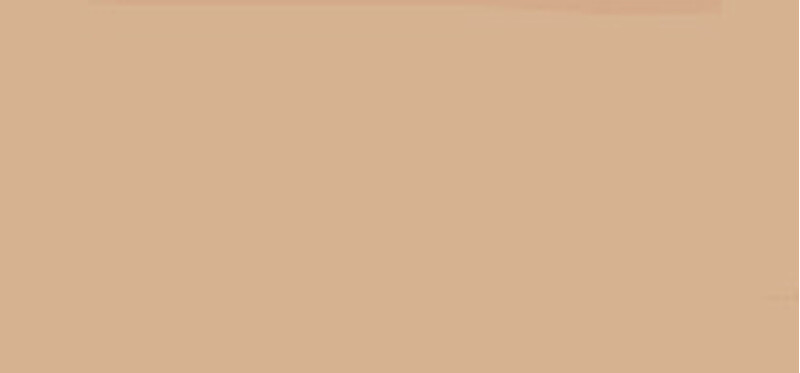 Hydrating make-up Match Perfection Foundation 30 ml - Shade: 103 True Ivory