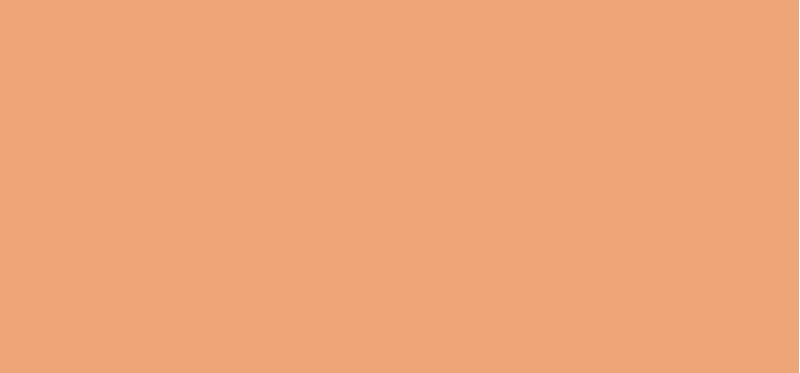 RADIANT CREAMY CONCEALER - Shade: Biscuit