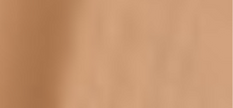 (Perfect Teint Foundation) 20 ml - Shade: 52 Golden Biscuit (Warm)