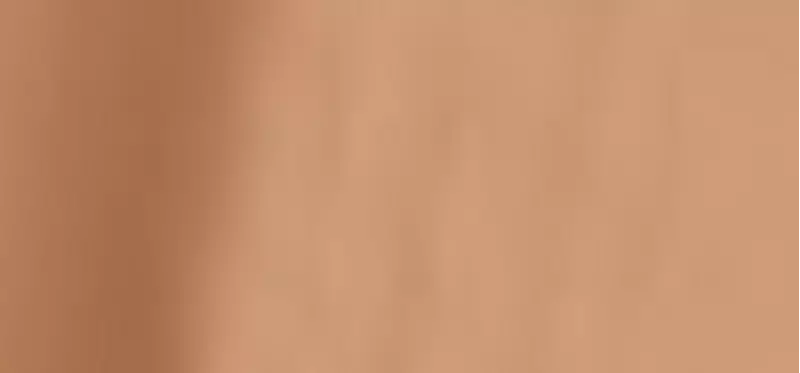 (Perfect Teint Foundation) 20 ml - Shade: 56 Olive Beige (Neutral)