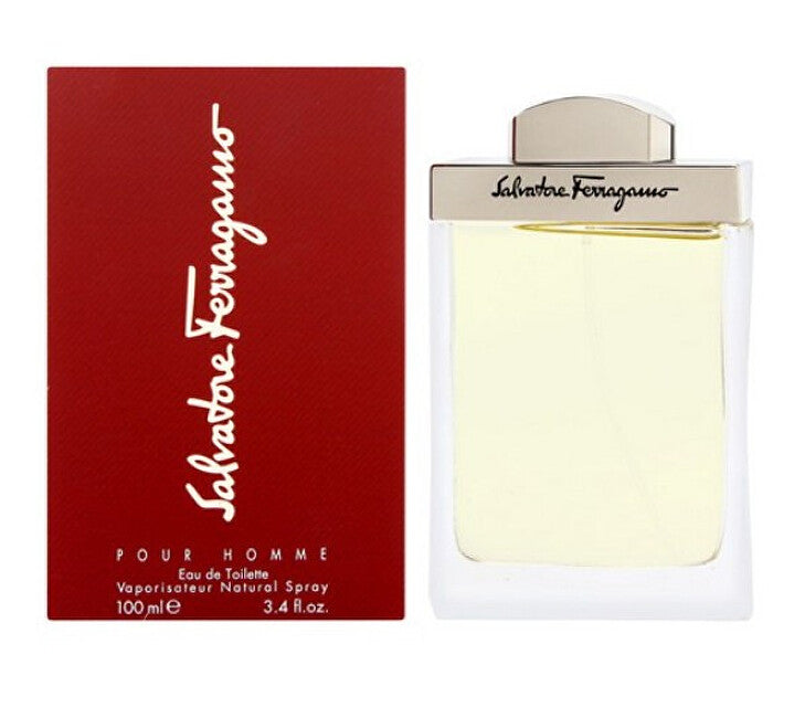 Pour Homme - eau de toilette with spray - Volume: 100 ml