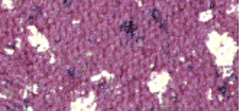 Highly pigmented eyeshadows Vamp! (Compact Eyeshadow) 1.5 g - Shade: 101 Purple Crash - Gems