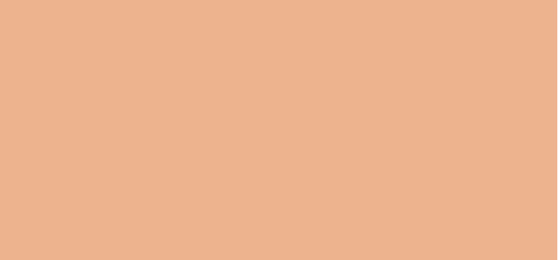 Concealer The Multitasker (Concealer) 10 ml - Shade: 030 Light