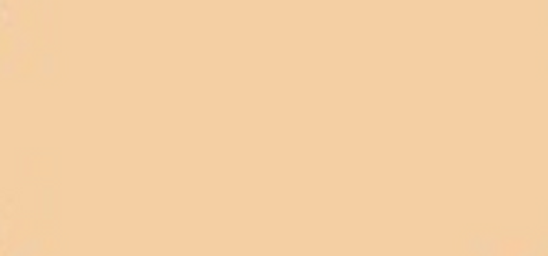 Long-lasting make-up SPF 30 Synchro Skin (Self- Refresh ing Foundation ) 30 ml - Shade: 220 Linen