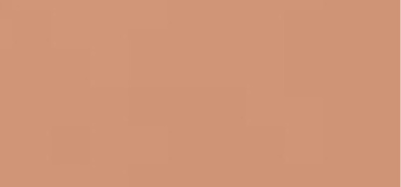 Tanning Compact Foundation Refill SPF 10 12 g - Shade: Bronze