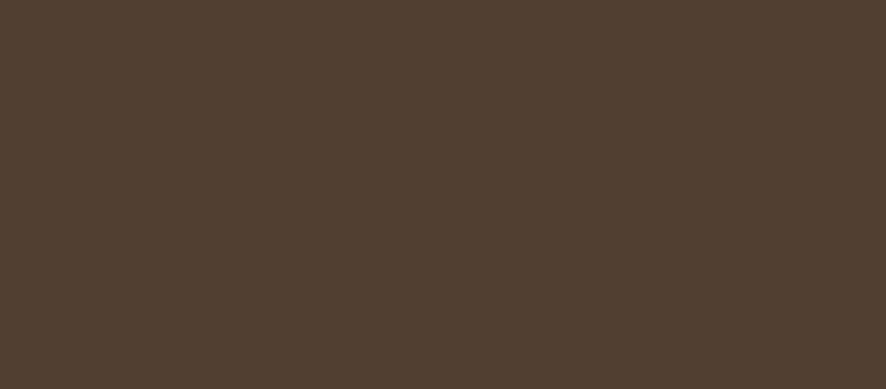 Eyebrow pencil with brush (Eye Brow Designer) 1 g - Shade: 2 Dark
