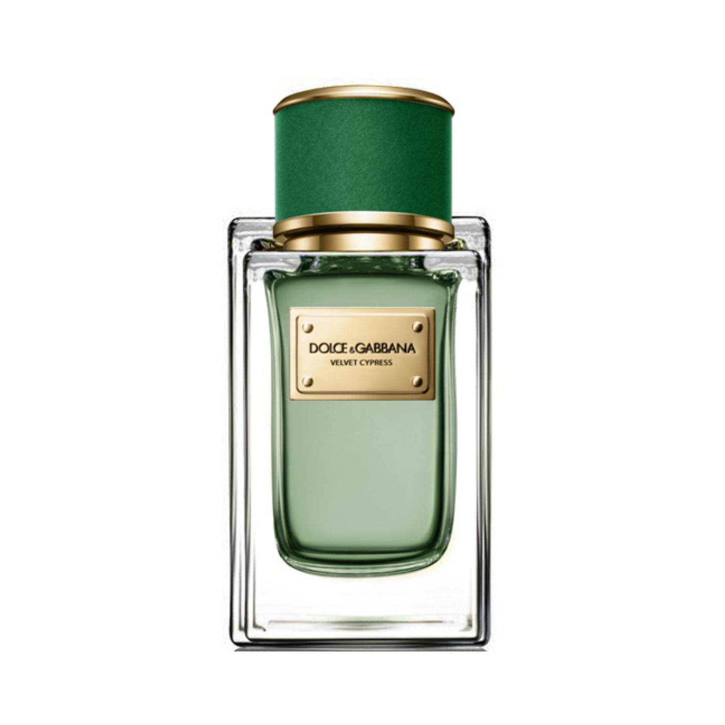 Dolce & Gabbana Velvet Cypress EDP U 50 ml