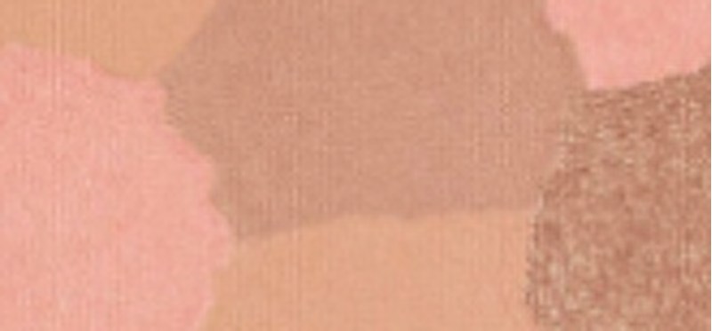 Terracotta Light (Powder) Bronzing (Powder) 10g - Shade: 00 Clair Rose