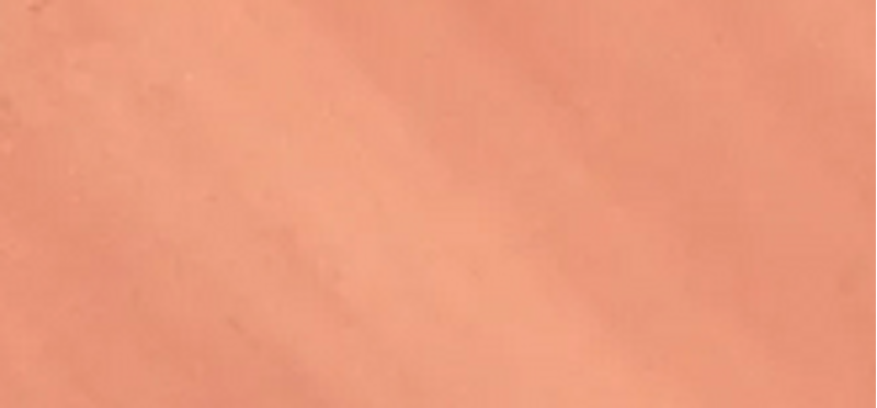 Water fresh blush Les Beiges (Water Fresh Blush) 15 ml - Shade: Light Peach
