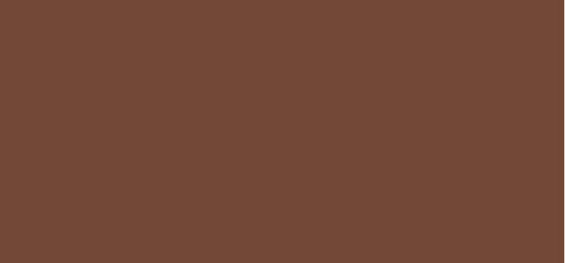 Refill for Brow Cheat eyebrow pencil (Micro Precision Brow Pencil) 0.05 g - Shade: Natural Brown
