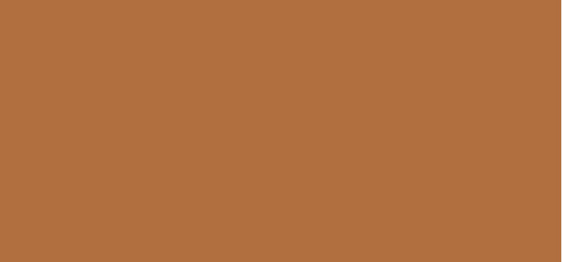 Tinted Moisturizer 40 ml - Shade: 06