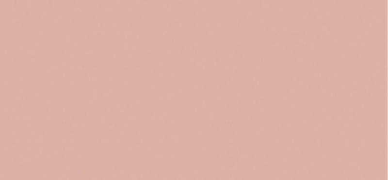 Long-Lasting Powder and Foundation 2in1 (24H Long-Lasting Powder and Foundation) 9 g - Shade: 1