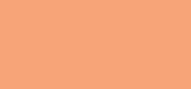 Facenity All Day Flawless Liquid Concealer (Concealer) 7.8 ml - Shade: 20