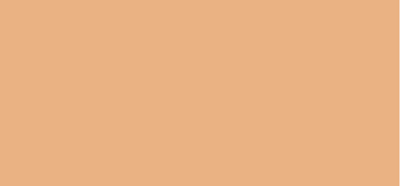Terracotta liquid concealer (Concealer) 11.5 ml - Shade: 3,5N