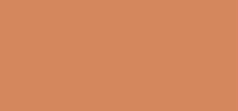 Terracotta liquid concealer (Concealer) 11.5 ml - Shade: 5N
