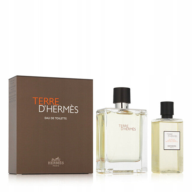 Terre D´ Hermes - EDT 100 ml + shower gel 80 ml