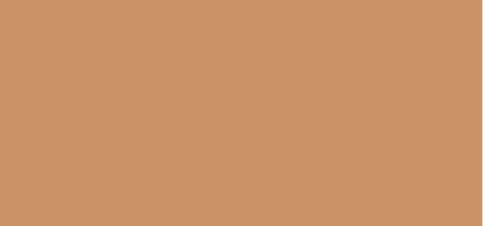 Skin Illusion Moisturizing Makeup SPF 15 (Natural Hydrating Foundation) 30 ml - Shade: 114 Cappuccino