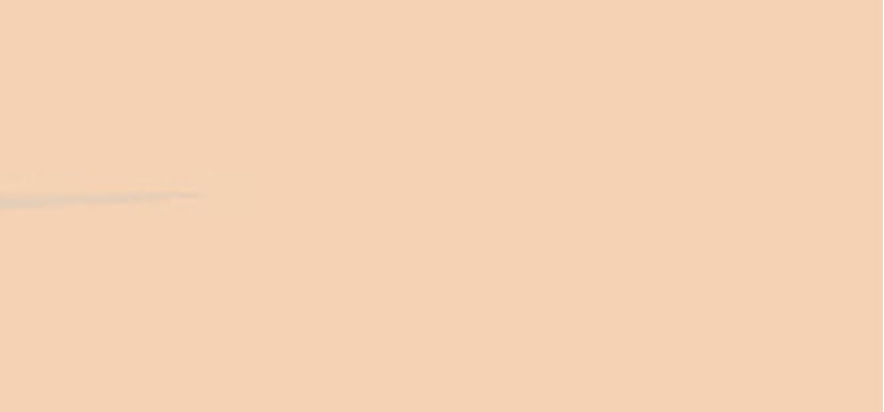 Compact Powder True Match (The Powder) 9 g - Shade: R1 - C1 Rose Ivory