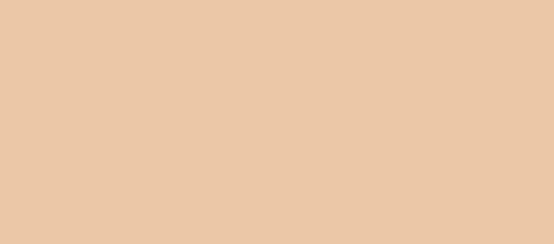 Panstik cream make-up with extra coverage 9 g - Shade: 12 True Beige