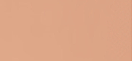Makeup in a stick Teint Idole Ultra Wear Shape Stick 9 g - Shade: 045