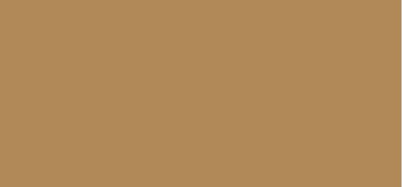 Lip gloss Gift of Gold (Lipglass) 3.1 ml - Shade: Liquid Lurex