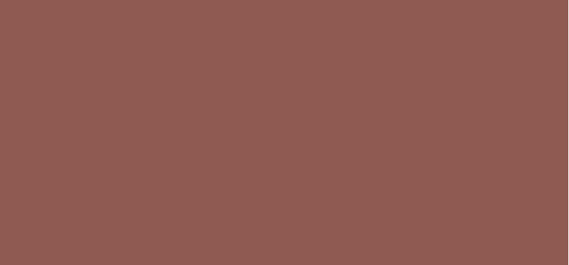Colour Riche Blurred Matte Lipstick 4.3 g - Shade: 560 Rosewood Influence