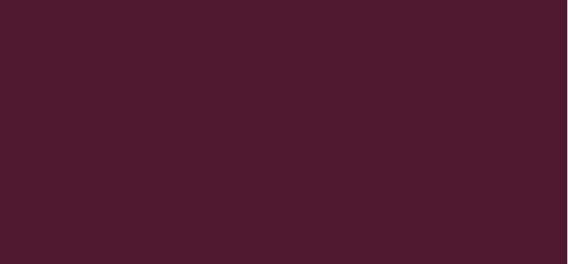 Multifunctional lip pencil Dazzle Lips Crayon 1.5 g - Shade: Grapeful