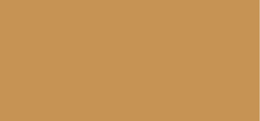 Liquid Highlighter 15 ml - Shade: Extra Ordinary