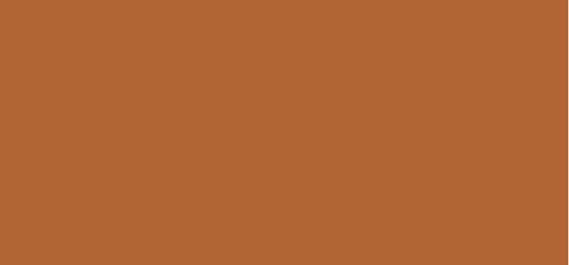 Liquid concealer (Pro Longwear Concealer) 9 ml - Shade: NC50