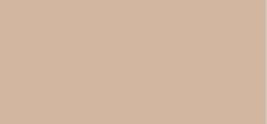Miracle Touch (Skin Perfecting Foundation) 11.5 g - Shade: 55 Blushing Beige