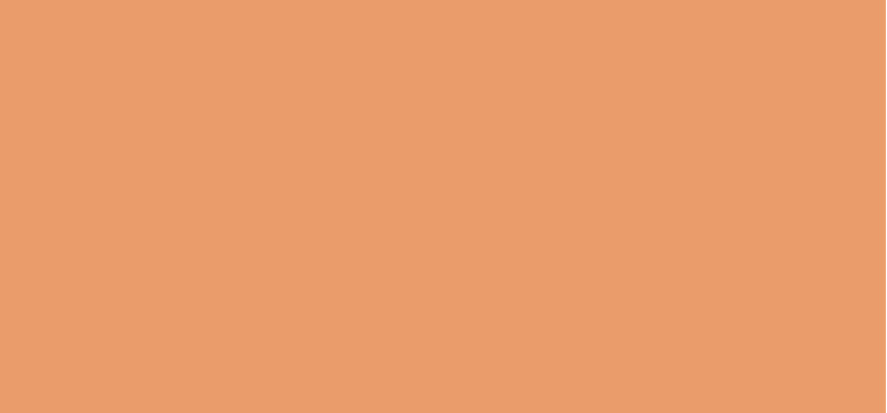 Cream concealer Miracle Pure Eye Enhancer Concealer 10 ml - Shade: 04 Honey Cream