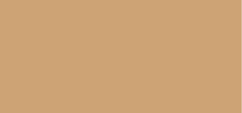 SOFT MATTE COMPLETE FOUNDATION - Shade: Valencia
