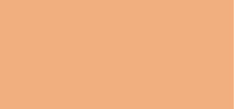 SOFT MATTE COMPLETE CONCEALER - Shade: Ginger