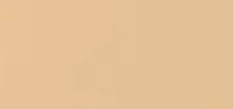 White Tea (Multi-Perfecting Tinted Cream) - Shade: Light