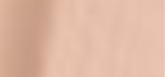 (Perfect Teint Foundation) 20 ml - Shade: 04 Pure Porcelain (Cool)