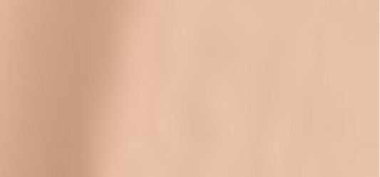 (Perfect Teint Foundation) 20 ml - Shade: 08 Gentle Ivory (Warm)
