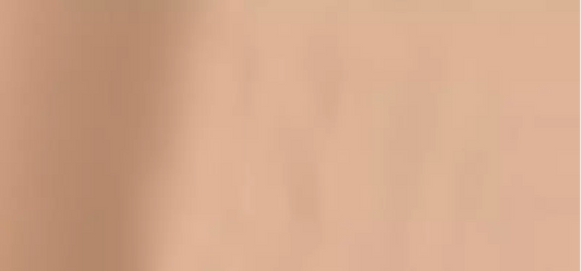 (Perfect Teint Foundation) 20 ml - Shade: 16 Light Bisque (Neutral)