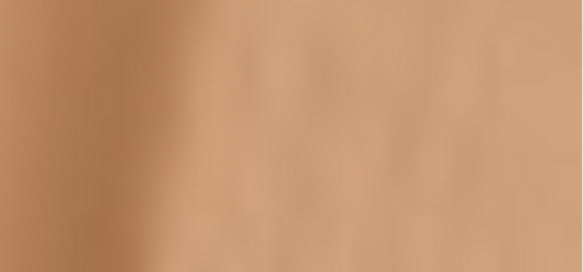 (Perfect Teint Foundation) 20 ml - Shade: 52 Golden Biscuit (Warm)