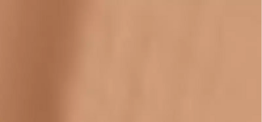 (Perfect Teint Foundation) 20 ml - Shade: 56 Olive Beige (Neutral)